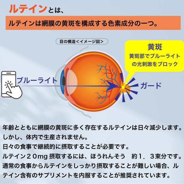 商品説明画像が表示される予定