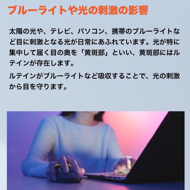 商品説明画像が表示される予定