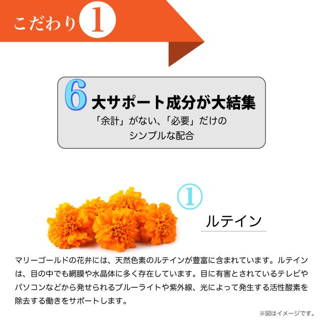 商品説明画像が表示される予定