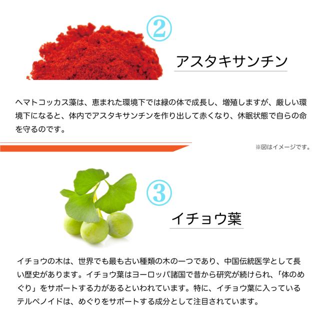 商品説明画像が表示される予定