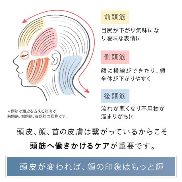 電動頭皮ブラシ 頭皮マッサージ 電動振動ブラシ