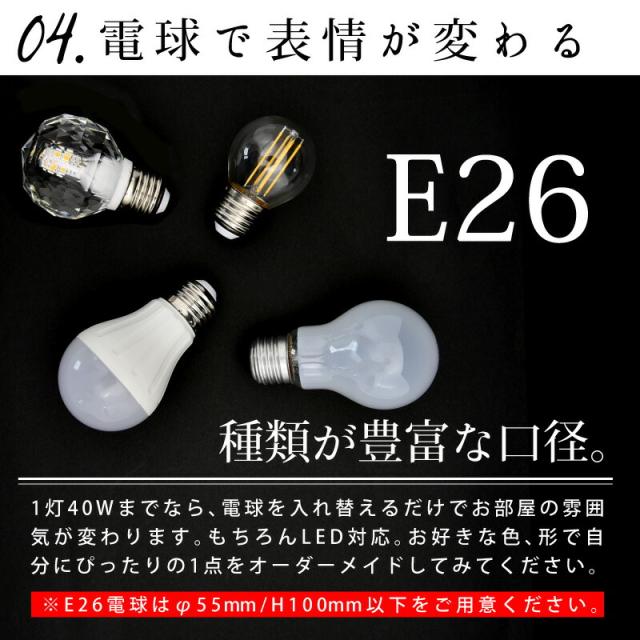 LED電球 電球色 昼白色