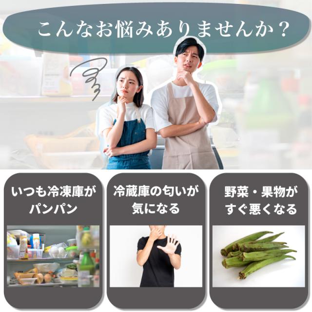 真空フードポンプセット 真空ポンプ & 保存袋 20枚