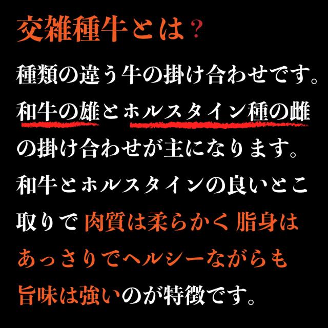 業務用【 九州産 牛もつ 1キロ 】洗浄 カット済み 牛 もつ 1000g 小腸 もつなべ 博多もつ鍋 ホルモン 焼肉 マルチョウ お歳暮 お肉 ギフト 牛もつ まるちょう 肉 お取り寄せ