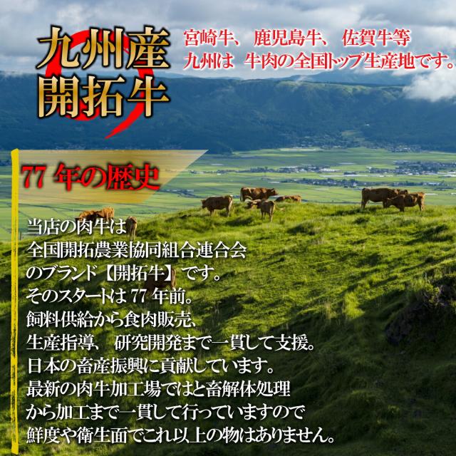 【 九州牛 ヒレステーキ  】約130ｇ×2個 ヒレ ひれ フィレ テンダーロイン