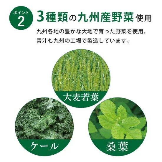 桑葉 ケール 抹茶入りの飲みやすいカラダケア青汁