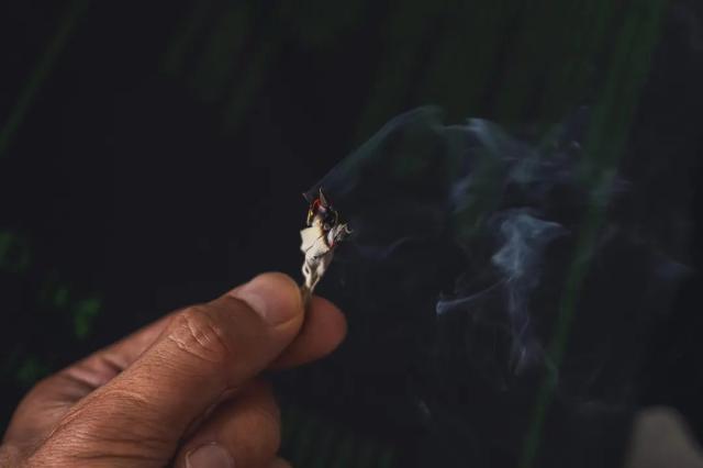 ホワイトセージ 葉先に火をつけて使うイメージ