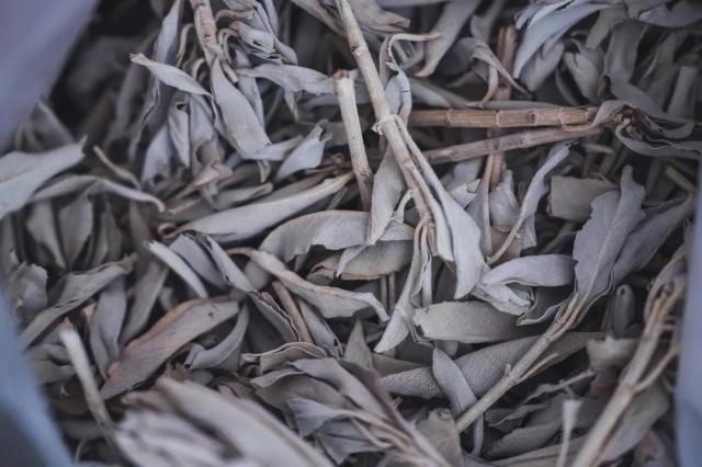 ホワイトセージ トップス 枝付きリーフ 中身アップ