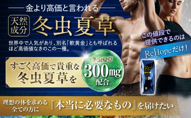 冬虫夏草配合 HMBサプリメント