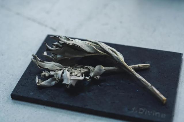 ホワイトセージ 枝付き葉タイプ 質感イメージ