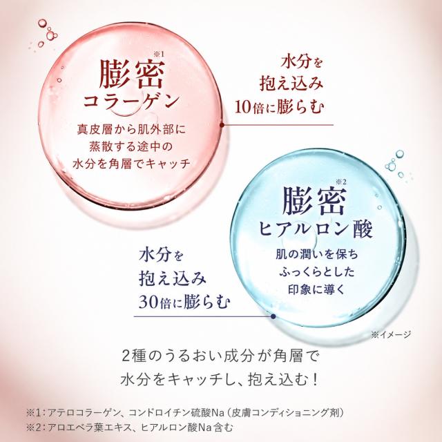パーフェクトワン クッションファンデーション ケース付き ナチュラル 専用パフ付き