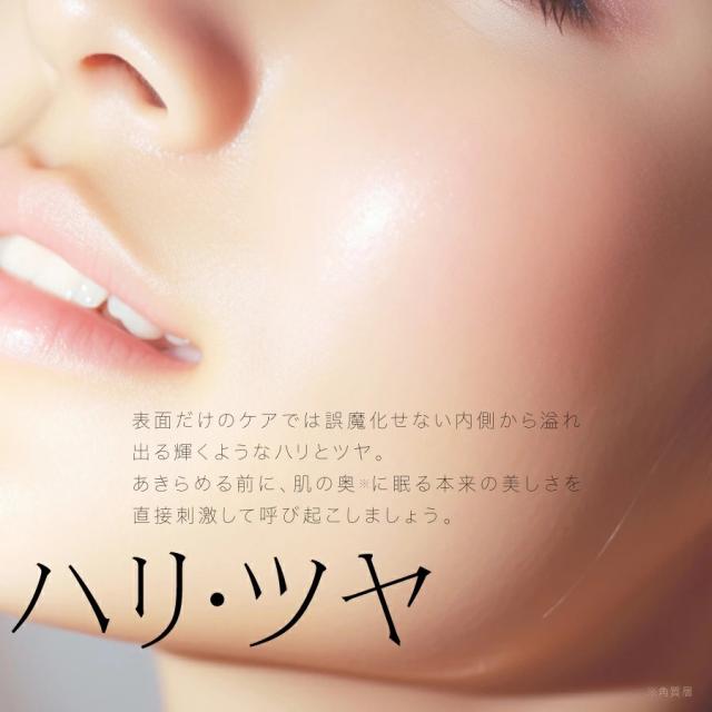 スピキュール構造説明