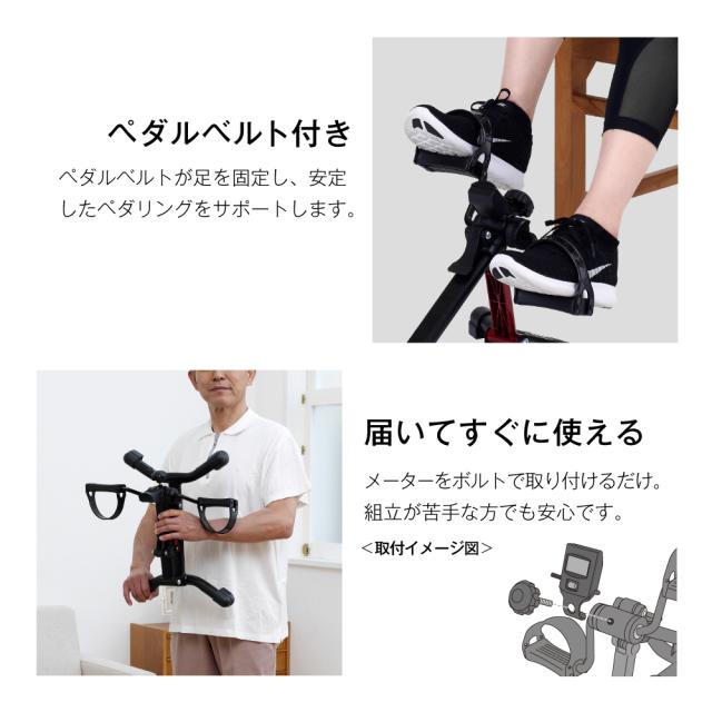 プチトレサイクル/AFB2523R(レッド)