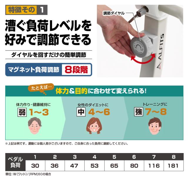 エアロマグネティックバイク5219/AFB5219