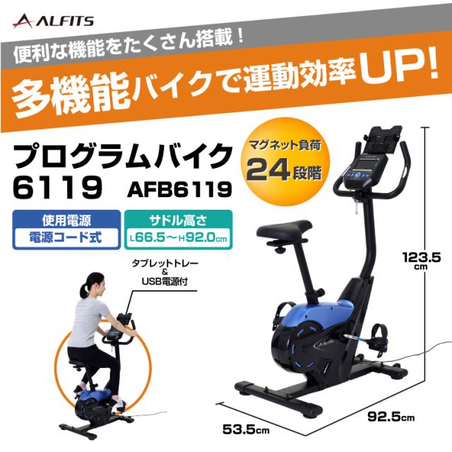 プログラムバイク6119/AFB6119