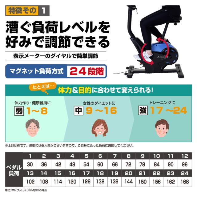 プログラムバイク6119/AFB6119