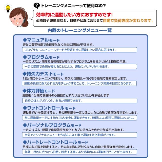 プログラムバイク6119/AFB6119