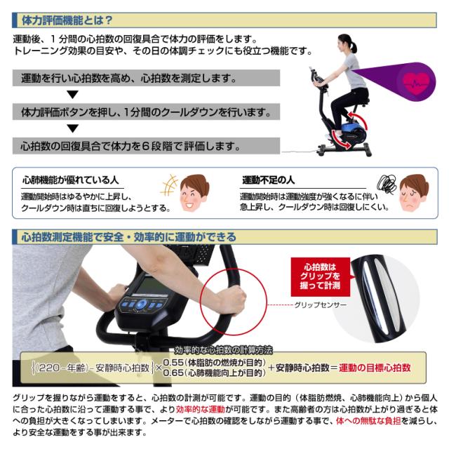 プログラムバイク6119/AFB6119
