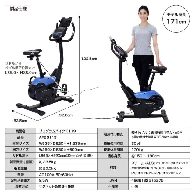 プログラムバイク6119/AFB6119