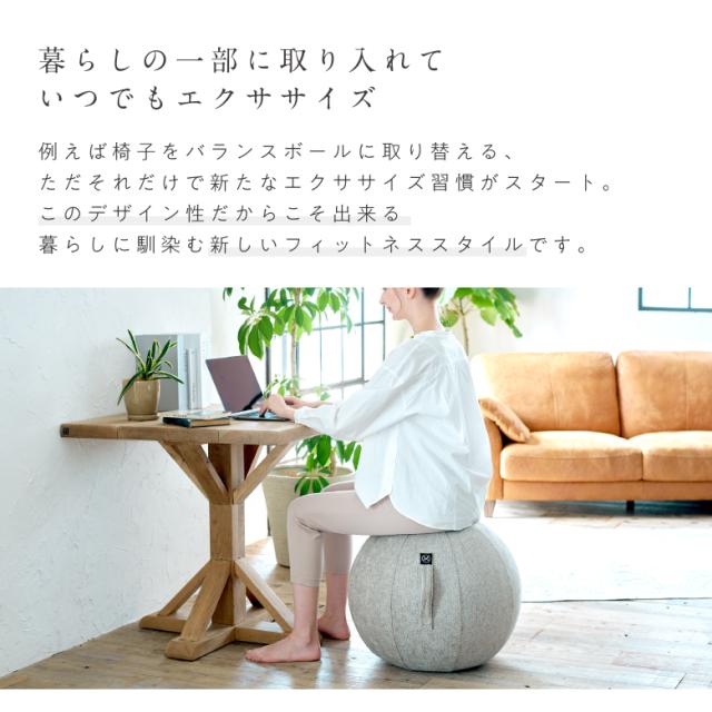 バランスボール シェリア 55cm/MVS355