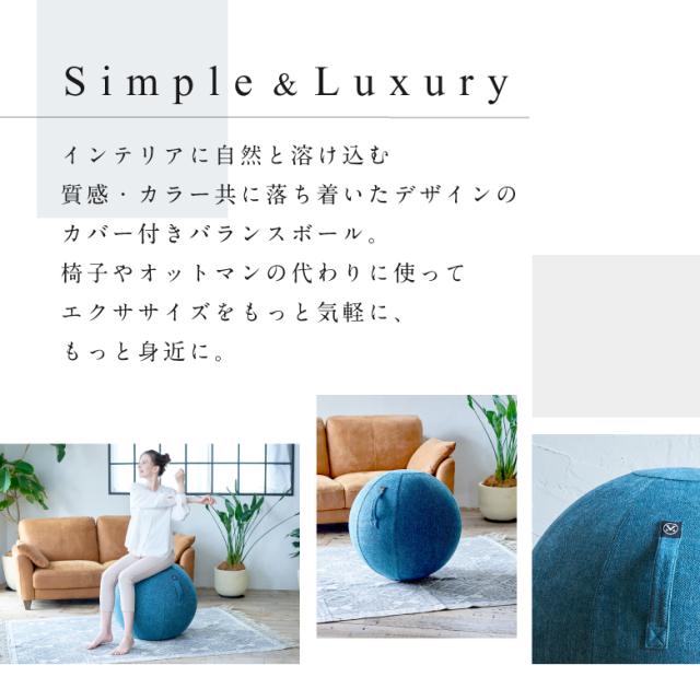 バランスボール シェリア 65cm/MVS365