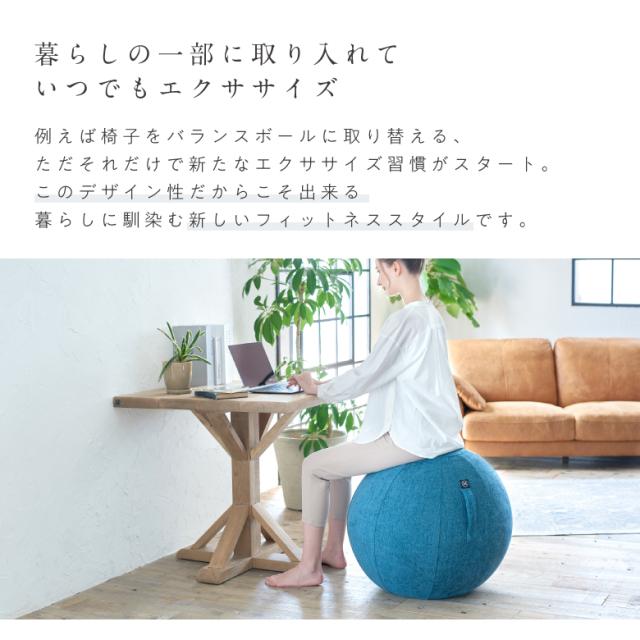 バランスボール シェリア 65cm/MVS365