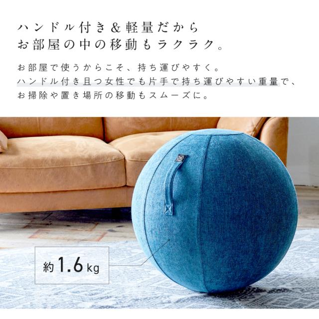 バランスボール シェリア 65cm/MVS365
