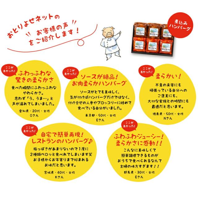 煮込みハンバーグのレビュー