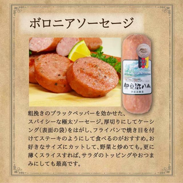 IFFA金賞ボロニアソーセージ