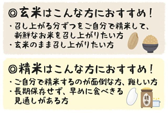 玄米・精米の選び方