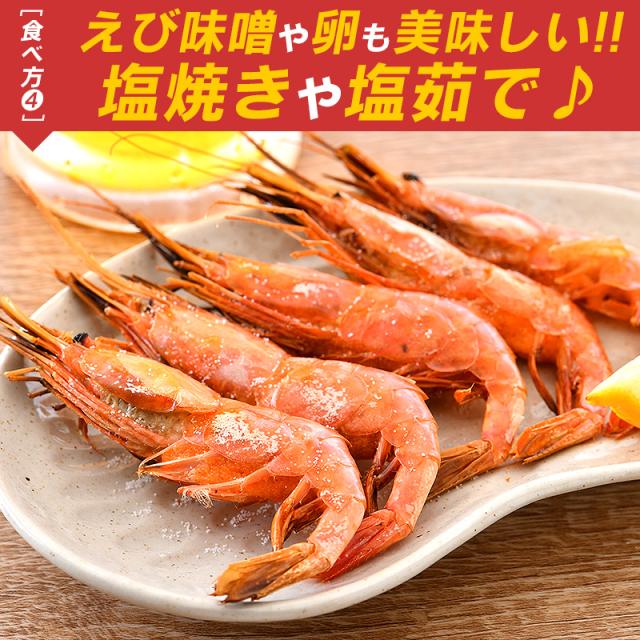 越前産甘エビ