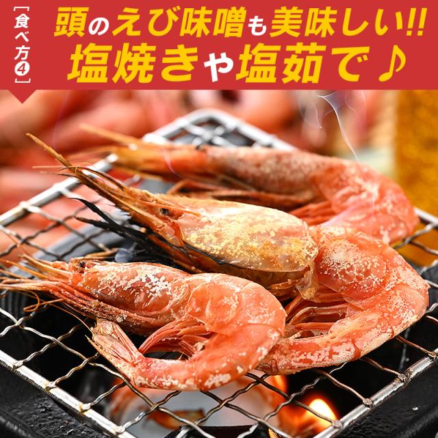 越前産甘エビ