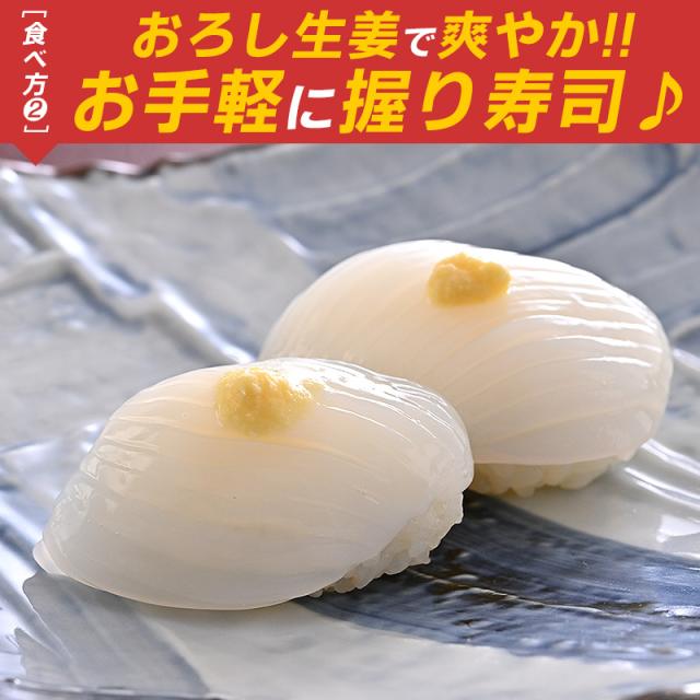 紋甲いか 甲いか