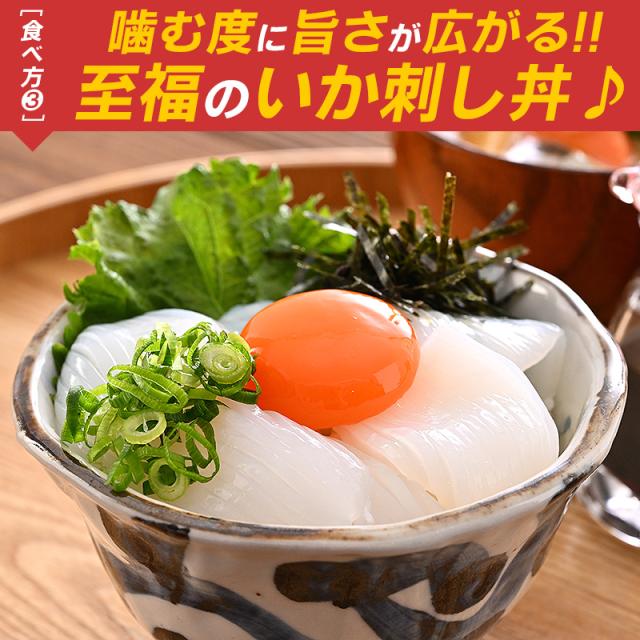 紋甲いか 甲いか