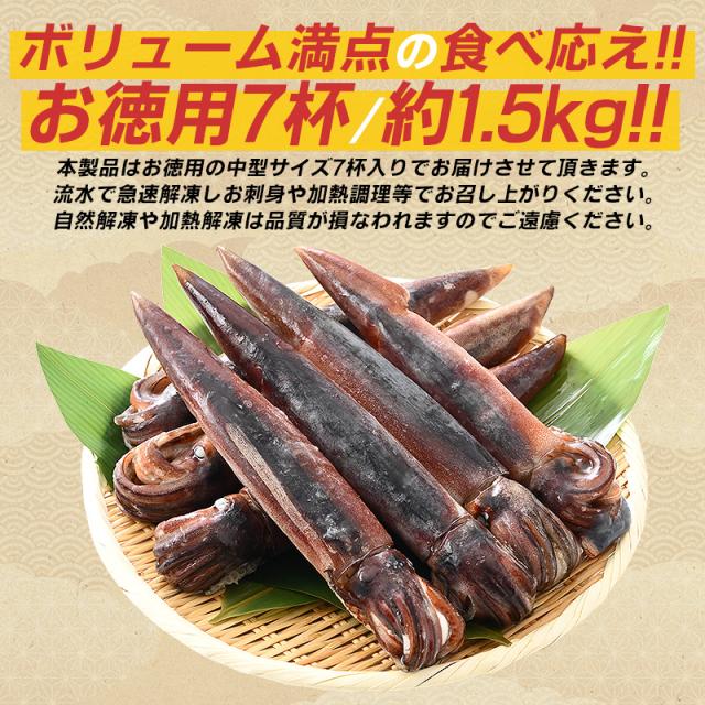 スルメイカ するめいか