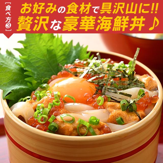 スルメイカ するめいか