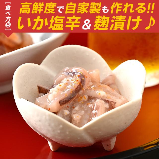 スルメイカ するめいか