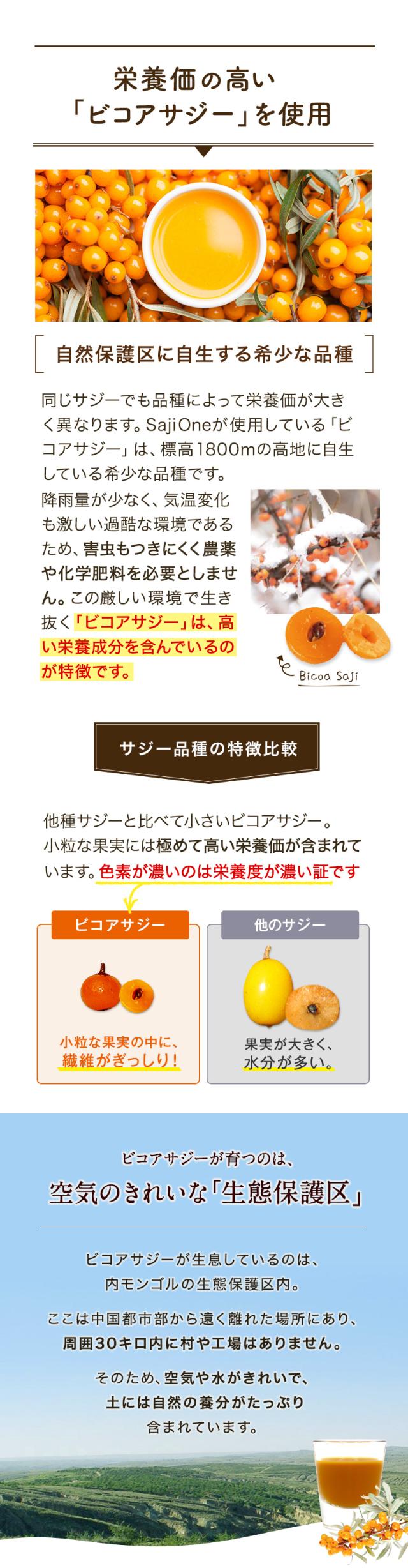 鉄分と一緒に摂れる栄養素は200種類以上