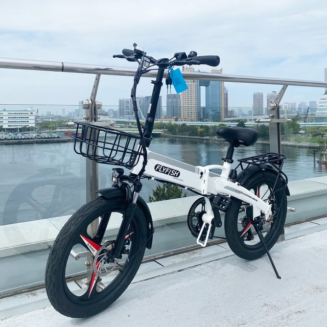 2023年モデル 電動バイク 原付 アクセル付き フル電動自転車 20 