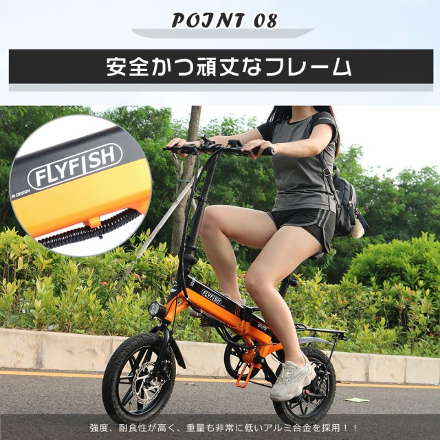 ls14inch250w36v8ah19.jpg
