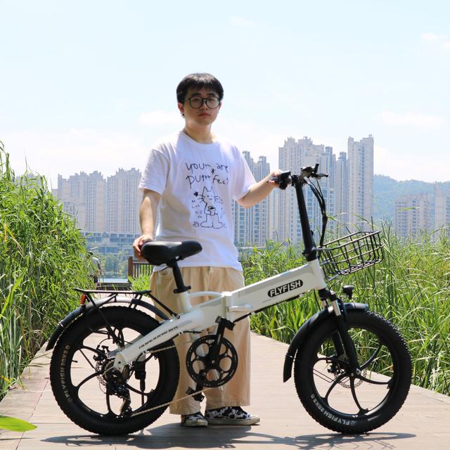 2025年最新型】FLYFISH 電動アシスト自転車折り畳み ファットバイク