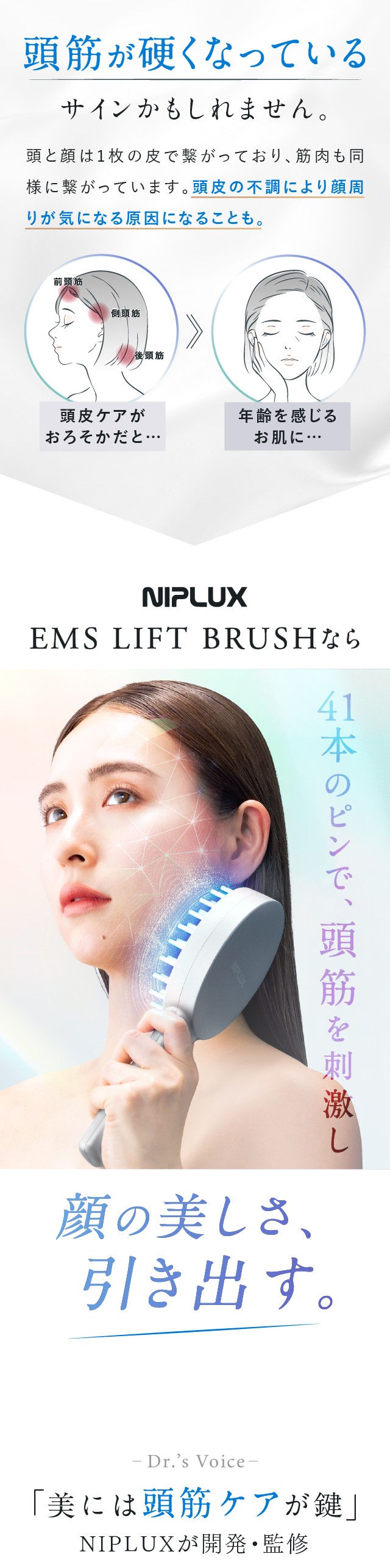 電気ブラシ EMS美顔器 リフトアップ 頭皮ケア ブラシ型 NIPLUX