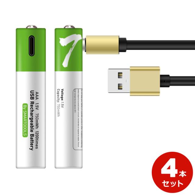 単4充電池 Type-C USB充電 単三電池 充電器不要 単4 Type-C 充電池 USB直挿し リチウム単4バッテリー