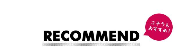 単3形ニッケル水素充電池 4本セット 充電式 ニッケル水素電池 単三 充電式電池