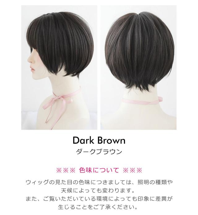ウィッグ ショート ボブ フルウィッグ レディース ショートヘア マットヘア メッシュ ウイッグ ショートボブ かつら 女性