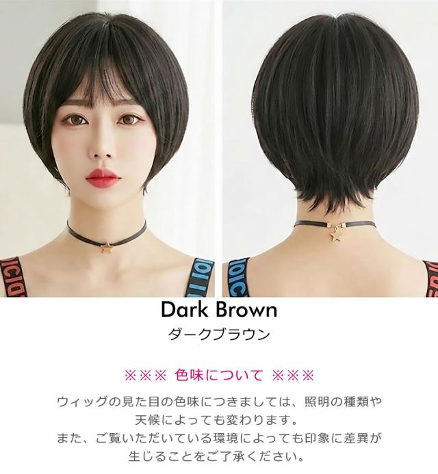ウィッグ ショート ボブ フルウィッグ レディース ショートヘア マットヘア メッシュ ウイッグ ショートボブ かつら 女性