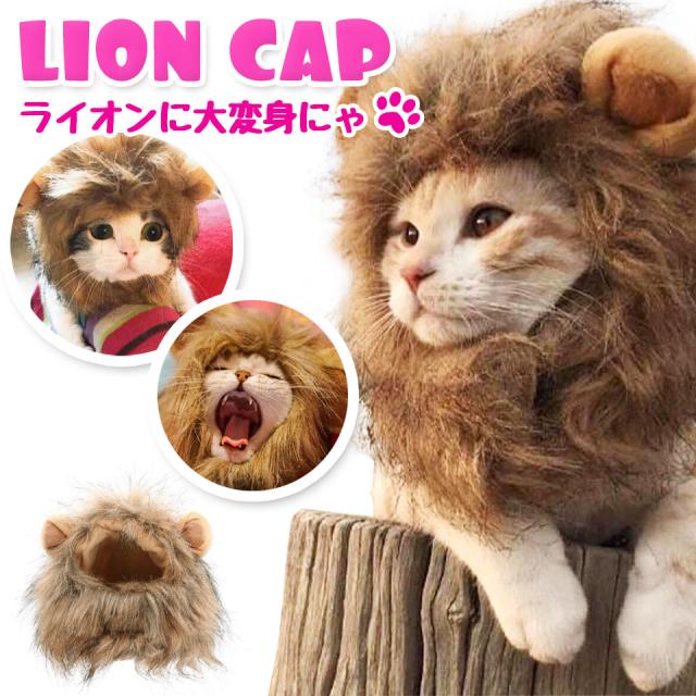 ねこ 被り物 コスプレ かわいい ライオン 小型犬