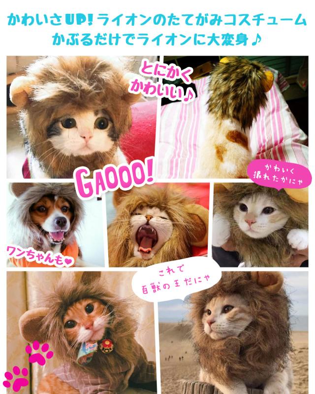 ねこ 被り物 コスプレ かわいい ライオン 小型犬