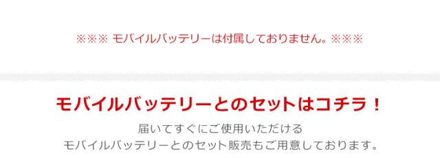 電熱ベスト レディース ヒーターベスト バッテリー バッテリー付 メンズ