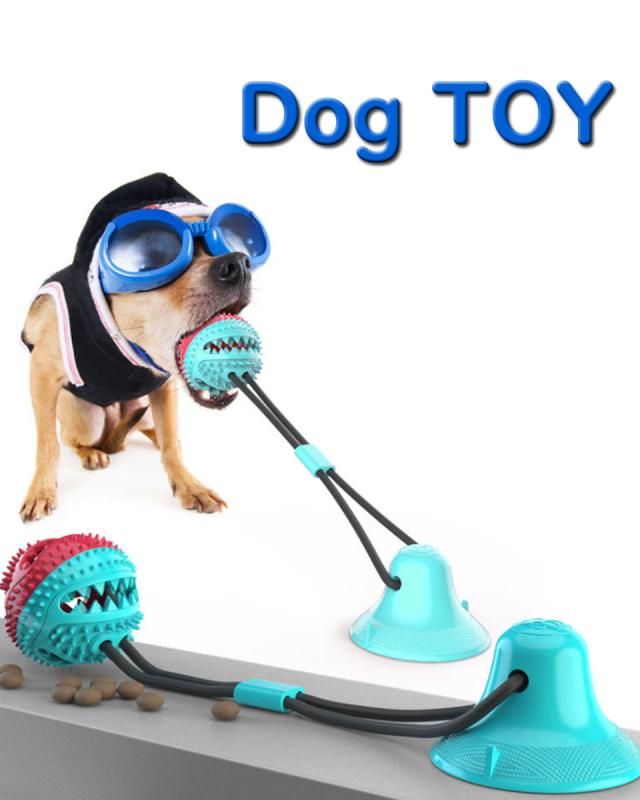 犬 おもちゃ ボール 